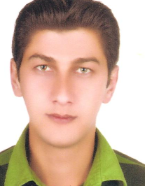 حمید امیری