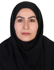 پروین ساکت
