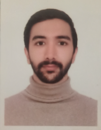 صالح استکی اورگانی