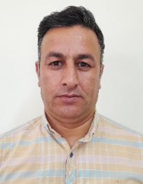 مهدی شاملو