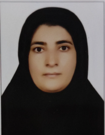 زهرا انوری مفرد