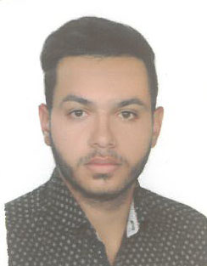 سید حسین مرتضوی ديزيچه