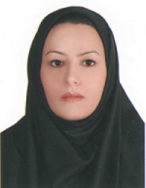 مریم صدیقی