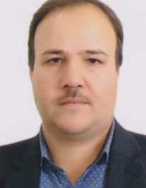 محمدرضا امینی