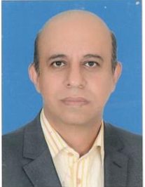 شاهین اردوبادی