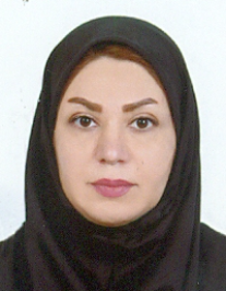 خاتون حمیدی حقیقی