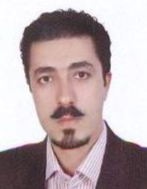 افضل امیری قلعه