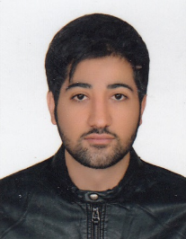 رضا ناظمی بابادی