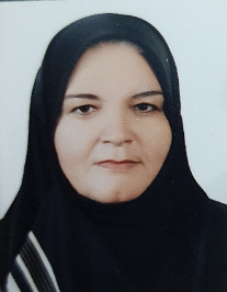 مریم حسن تقی