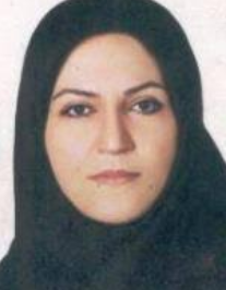 سولماز دینی