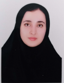 مریم همتی