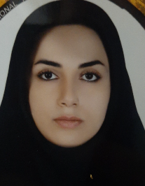 سکینه عربی