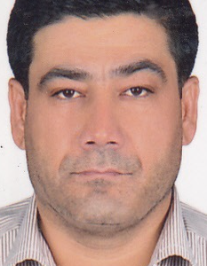 مرتضی افشار