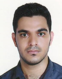 رضا حسنی