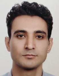 حامد صادقی