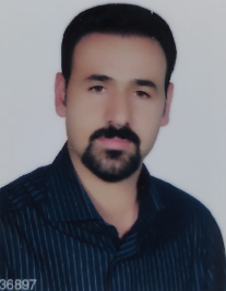 رضا حسینی
