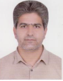 مجید پورحمیدی