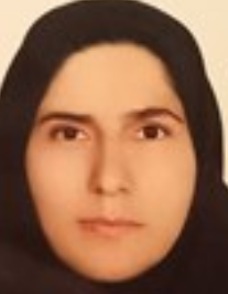 حدیقه شاهوردی پورجلفان