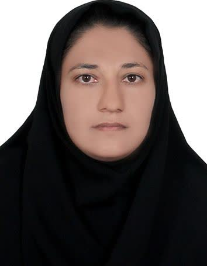 زینب حسینی پراندر