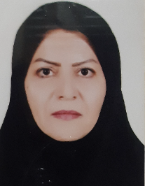 سیده مریم حسینی