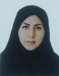 سیده صدیقه حسینی
