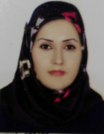 اکرم محمودی شورابی