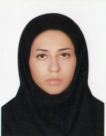 مهسا سادات نواب صفی الدین