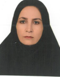 الهه احمدی نیا