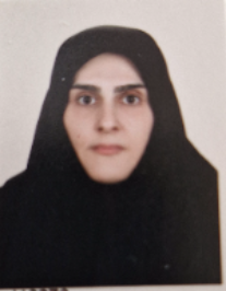 رویا امیری