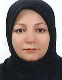 رضوان مسعود میدانچی