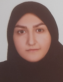 متین زاهدی شلمانی