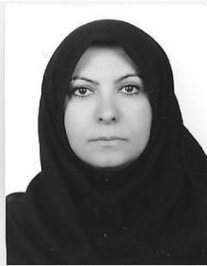 فروغ میرلوحی