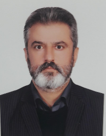 سید حسن تقوی