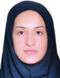 نرگس معزی