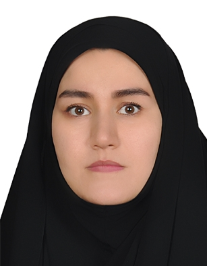 مهدیه خوشدل نظامی ها