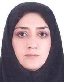 نوشین رایزن