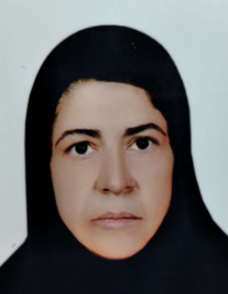 نصرت کامل عطار کار