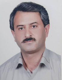 سید محسن ابراهیمی