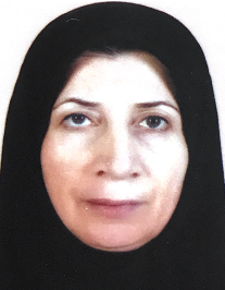 افسر امیری