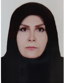 فریبا محمدی