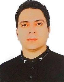 امیر حسام عربگری