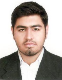 سید عطاء اله صافی