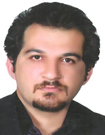 حسام الدین مهدوی
