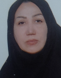 فهیمه رجبی جدیدی
