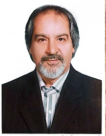 مهدی باستین