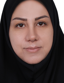 مریم ولی محمدی