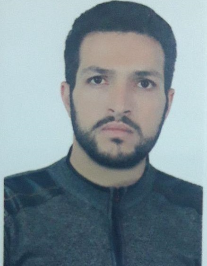 مهدی ارخودی قلعه نوئی