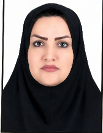 طیبه رزمجوئی