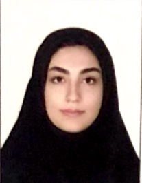 فیضیه هوشمند
