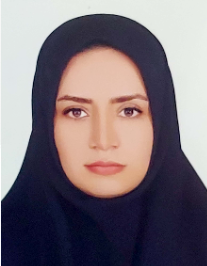 فرزانه سادات حسینی قهرودی